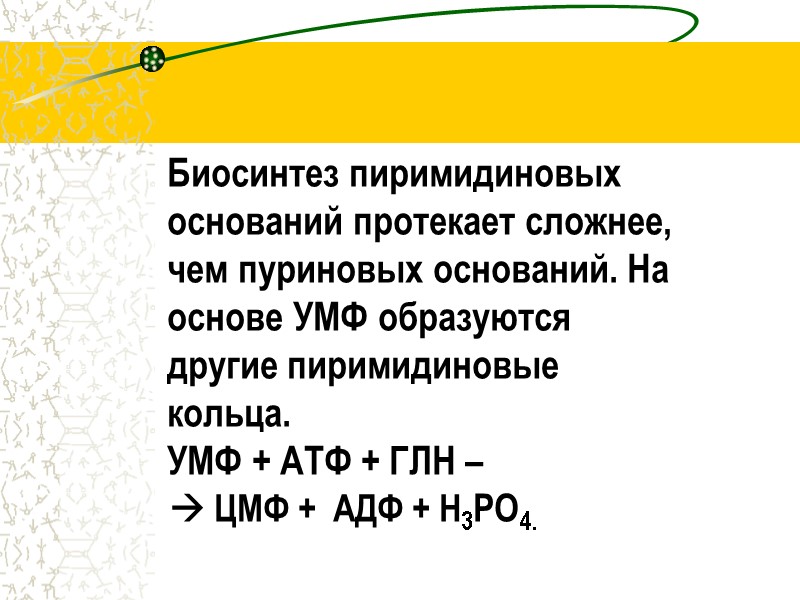 Биосинтез пиримидиновых            